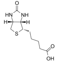 多肽生物素標(biāo)記
